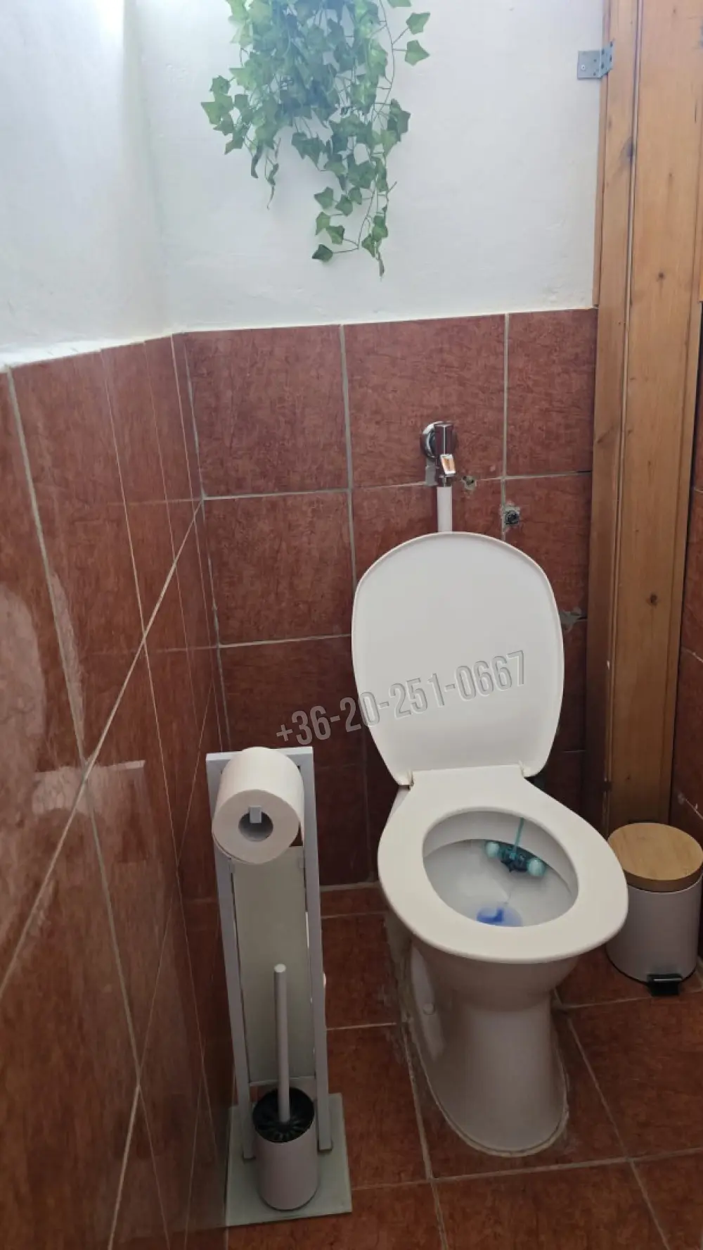 Baranya megye - Mohács