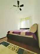 Csongrád megye - Szeged