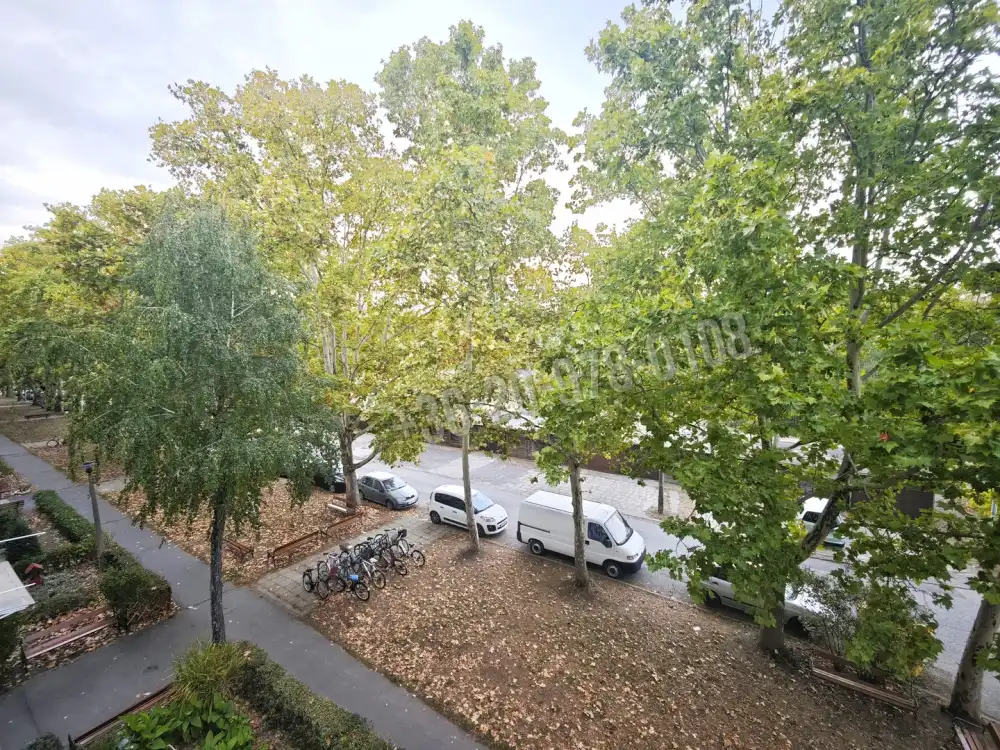 Csongrád megye - Szeged