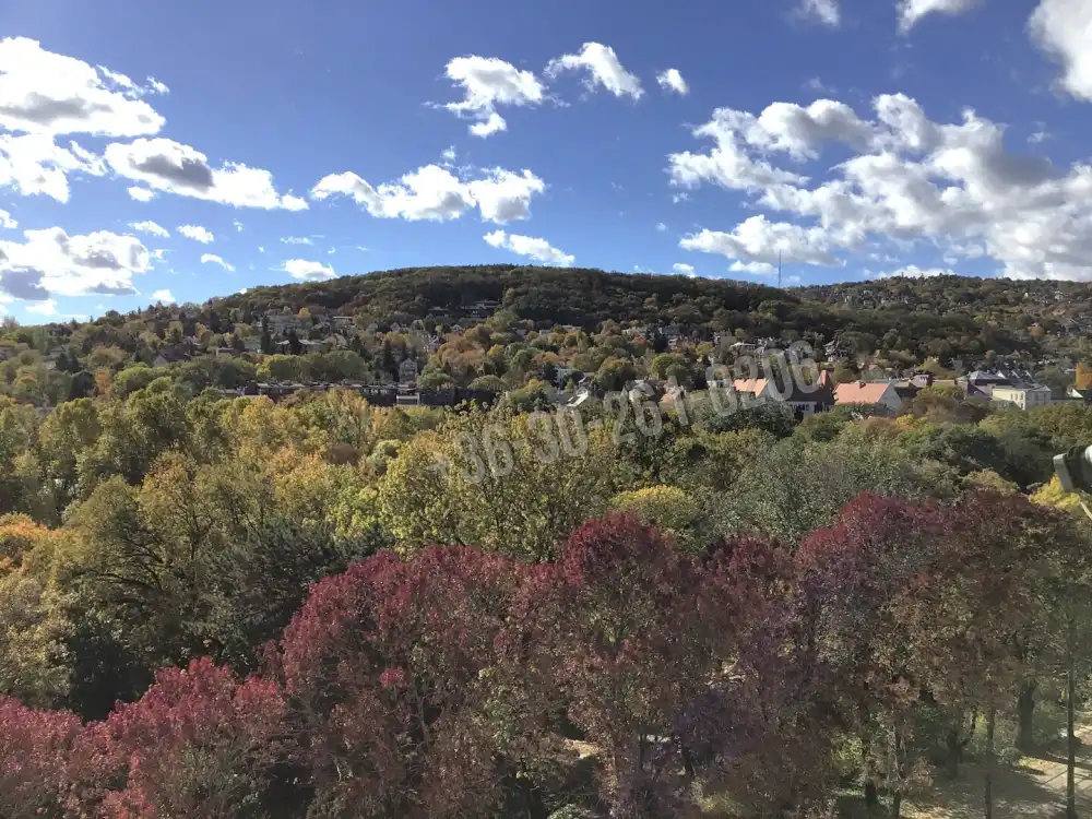 Budapest, II. kerület - Országút