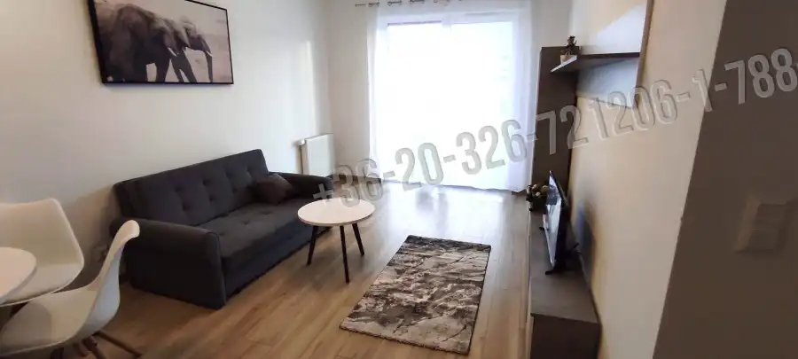 Albérlet, kiadó téglalakás, Budapest, IX. kerület