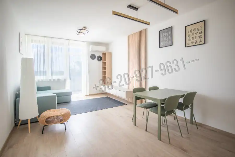 Albérlet, kiadó téglalakás, Budapest, XI. kerület