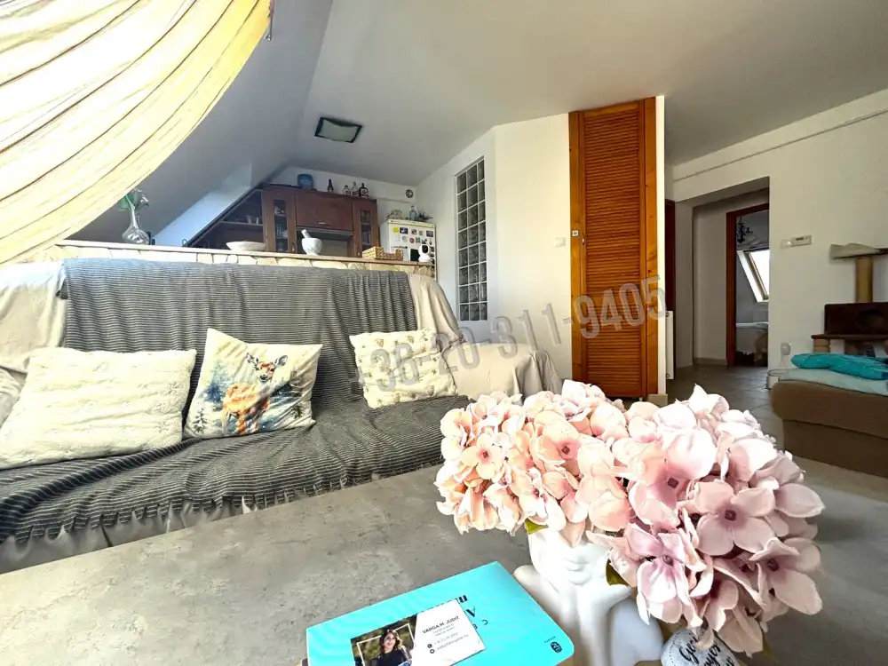 Csongrád megye - Szeged