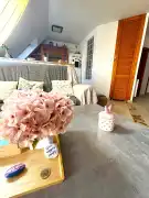 Csongrád megye - Szeged