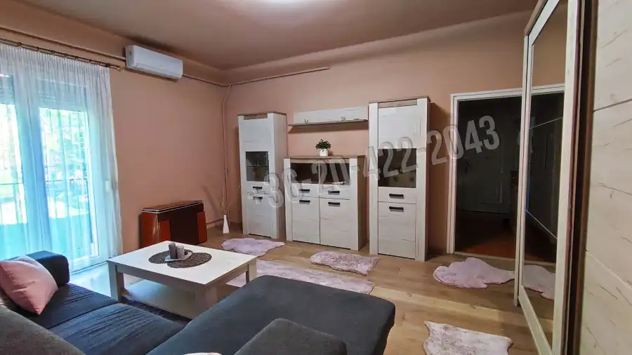 Albérlet, kiadó téglalakás, Szigetszentmiklós
