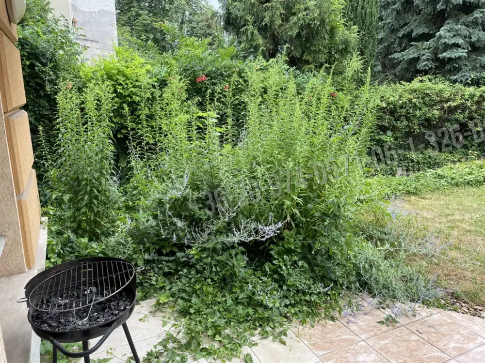 Budapest, II. kerület - Vérhalom