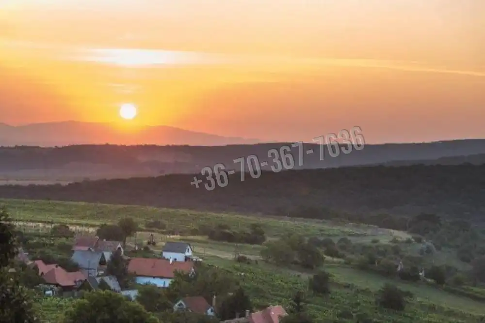 Komárom-Esztergom megye - Dunaszentmiklós