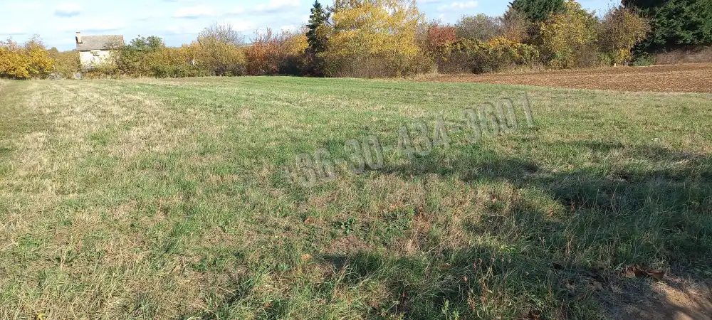 Fejér megye - Csákvár