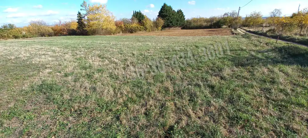 Fejér megye - Csákvár