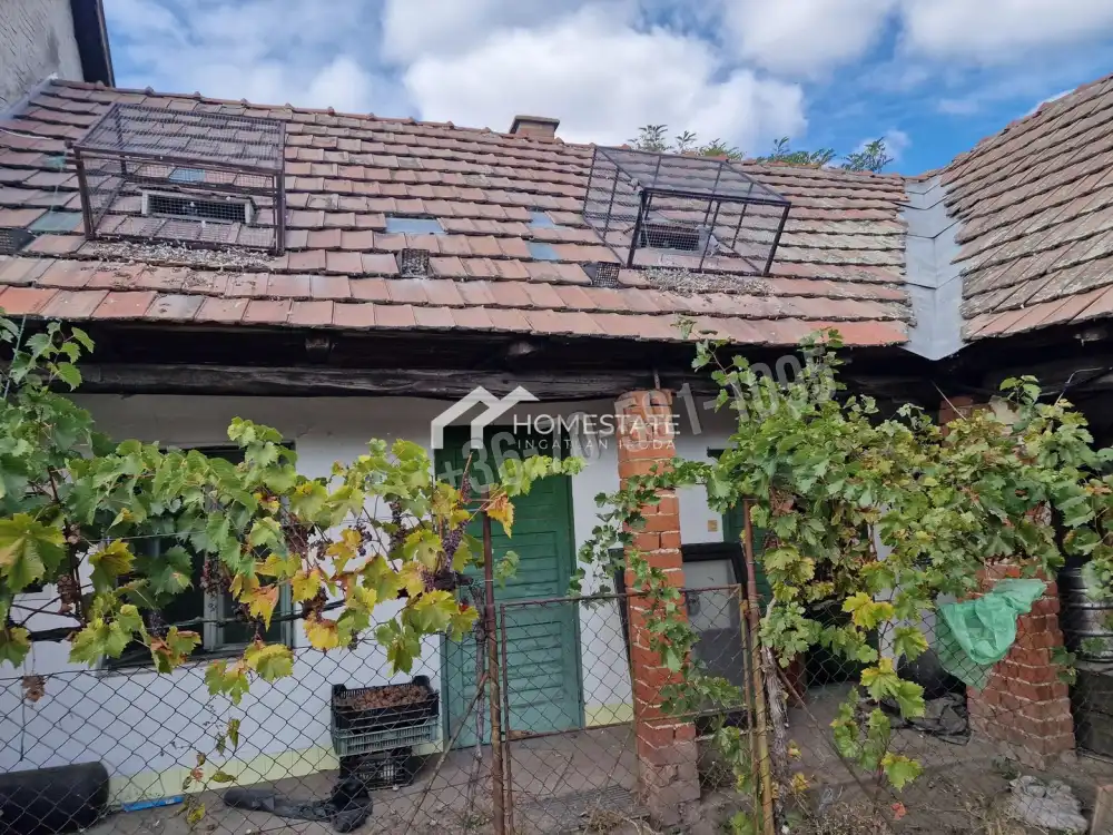 Bács-Kiskun megye - Akasztó