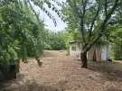 Pest megye - Albertirsa