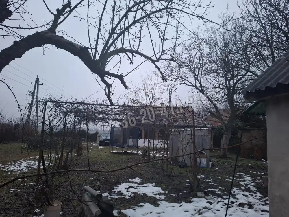 Pest megye - Albertirsa