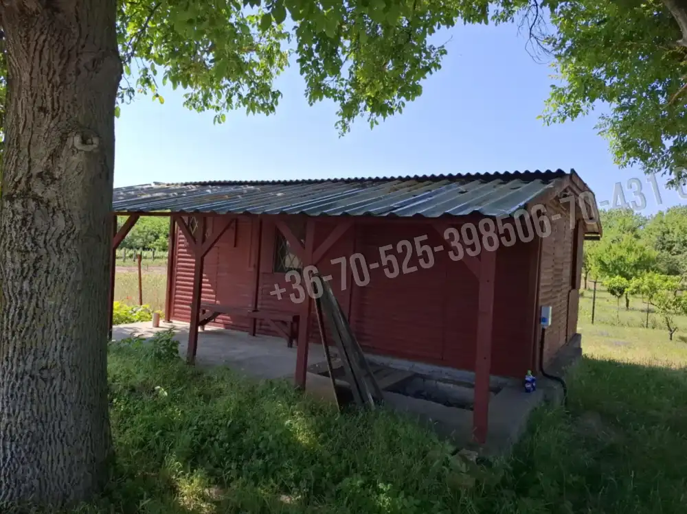 Pest megye - Albertirsa
