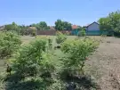 Pest megye - Albertirsa