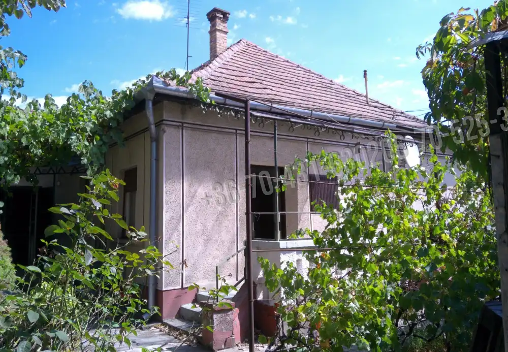 Pest megye - Albertirsa