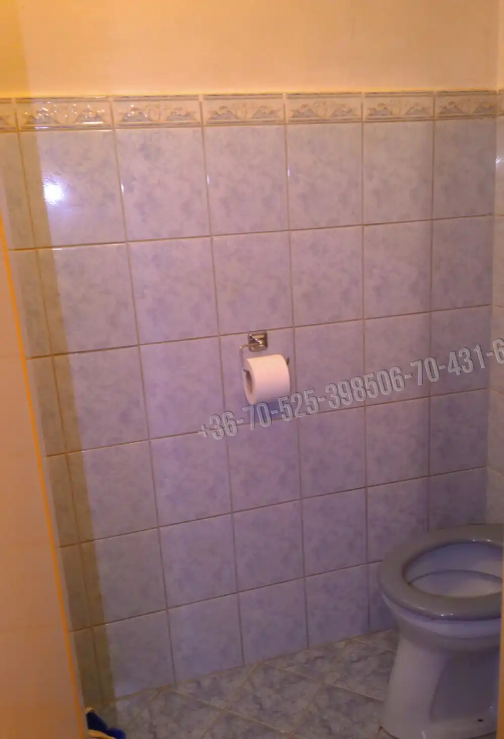 Pest megye - Albertirsa