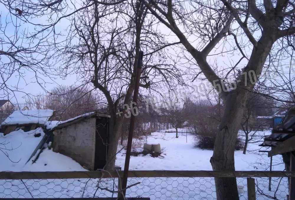 Pest megye - Albertirsa