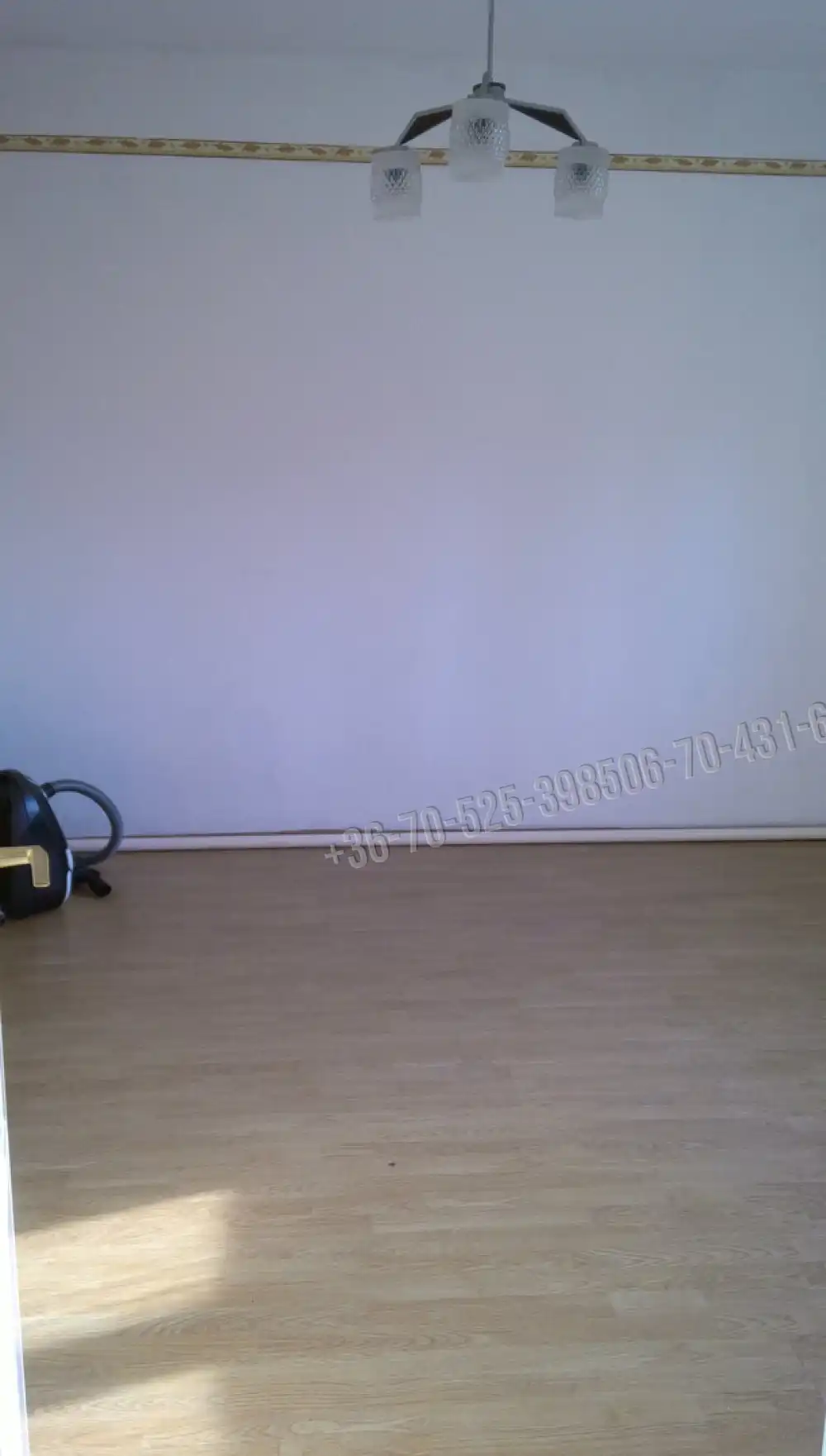 Pest megye - Albertirsa