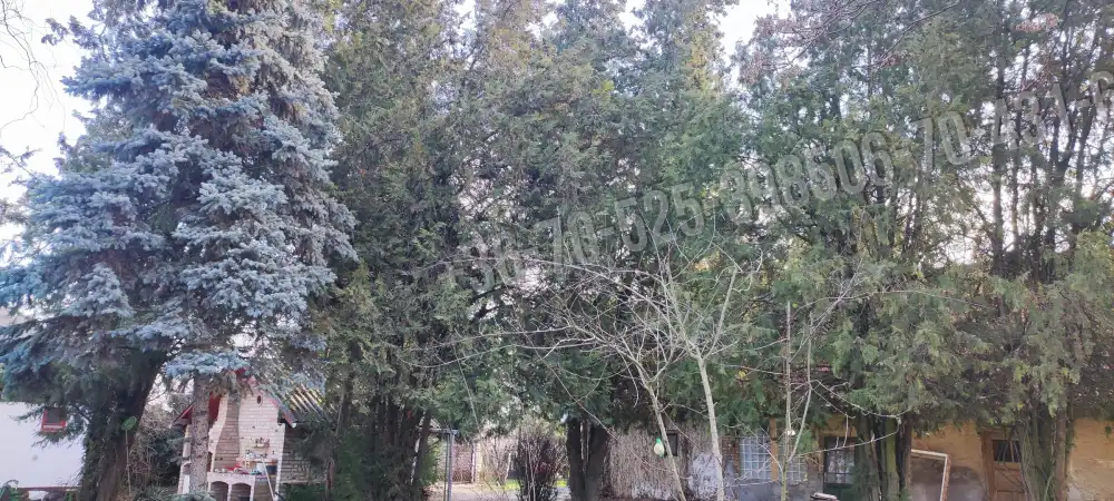 Pest megye - Albertirsa