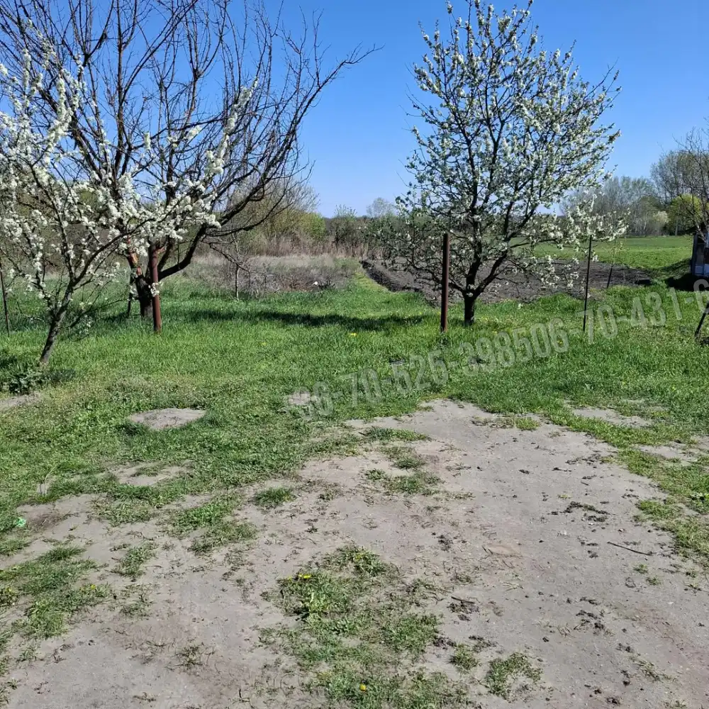 Pest megye - Albertirsa