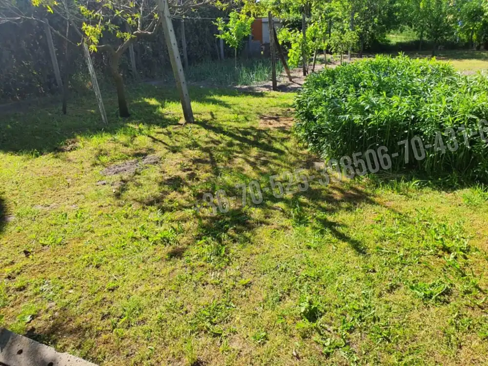 Pest megye - Albertirsa