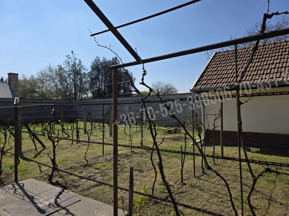 Pest megye - Albertirsa