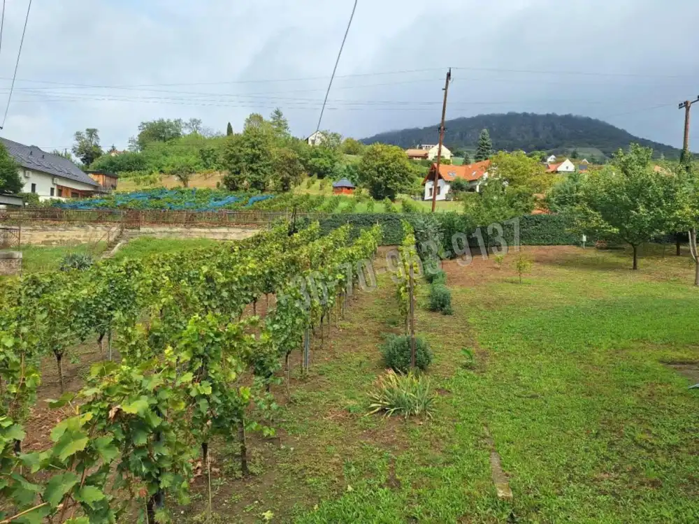 Veszprém megye - Badacsonytomaj