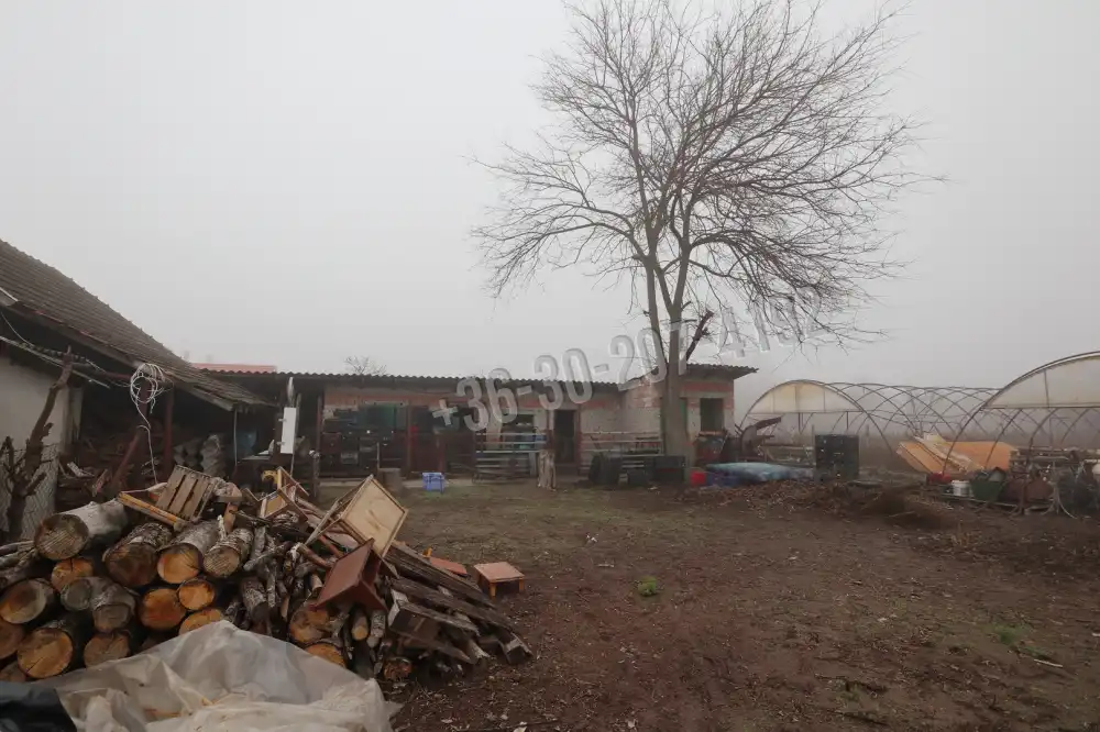 Csongrád megye - Balástya