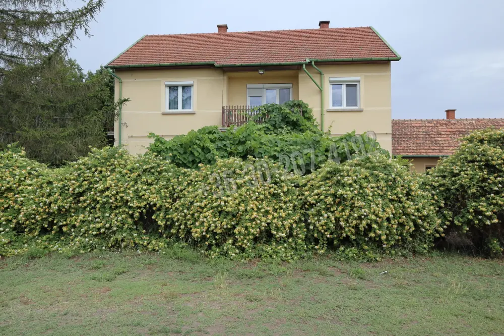 Csongrád megye - Balástya