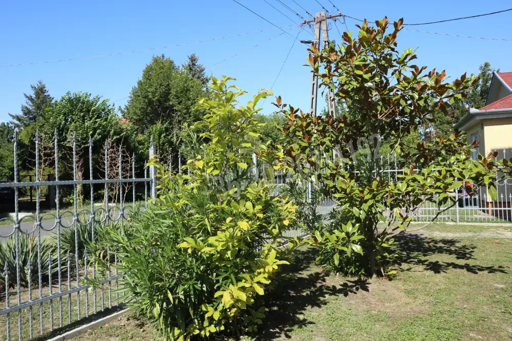 Somogy megye - Balatonfenyves