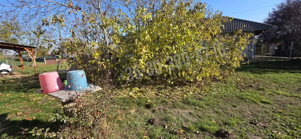 Fejér megye - Baracs