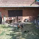 Békés megye - Békéscsaba