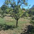 Békés megye - Békéscsaba