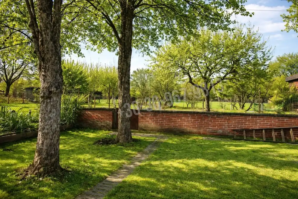 Békés megye - Békéscsaba