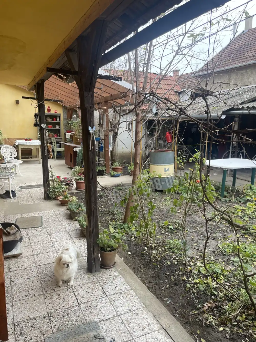 Békés megye - Békéscsaba