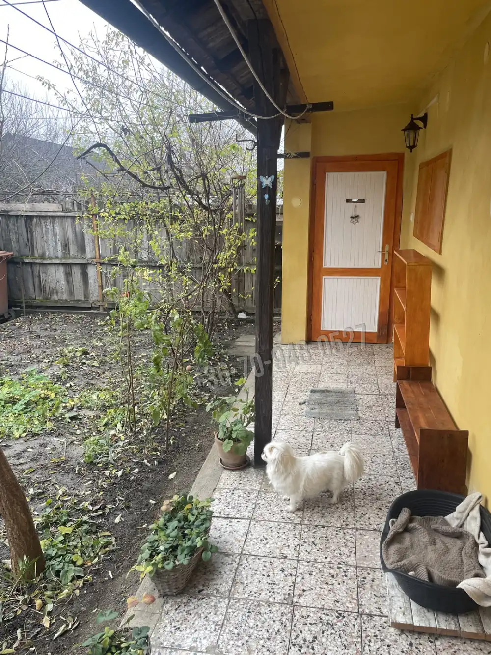 Békés megye - Békéscsaba