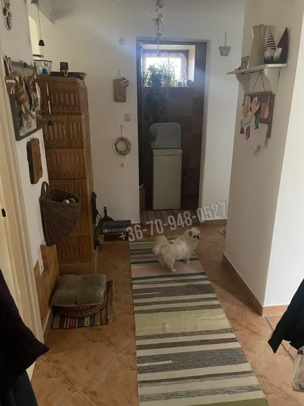 Békés megye - Békéscsaba