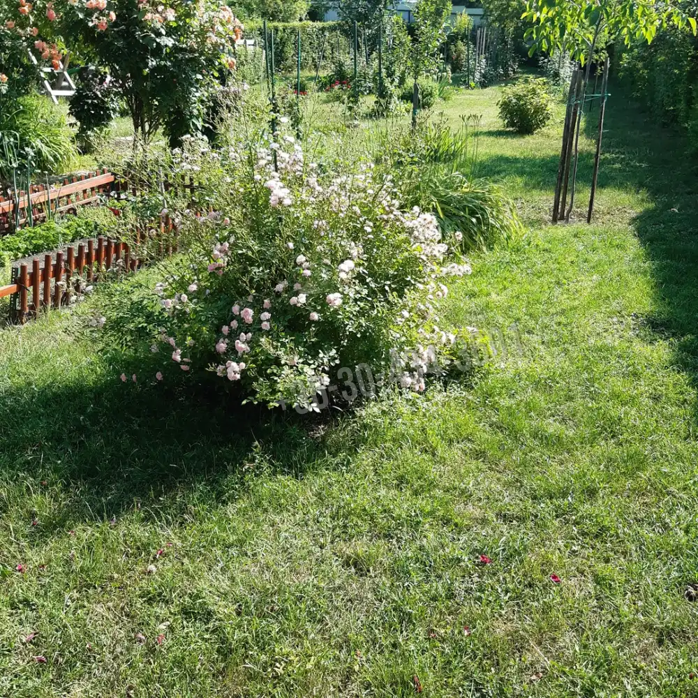 Fejér megye - Bicske