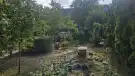 Pest megye - Budakeszi