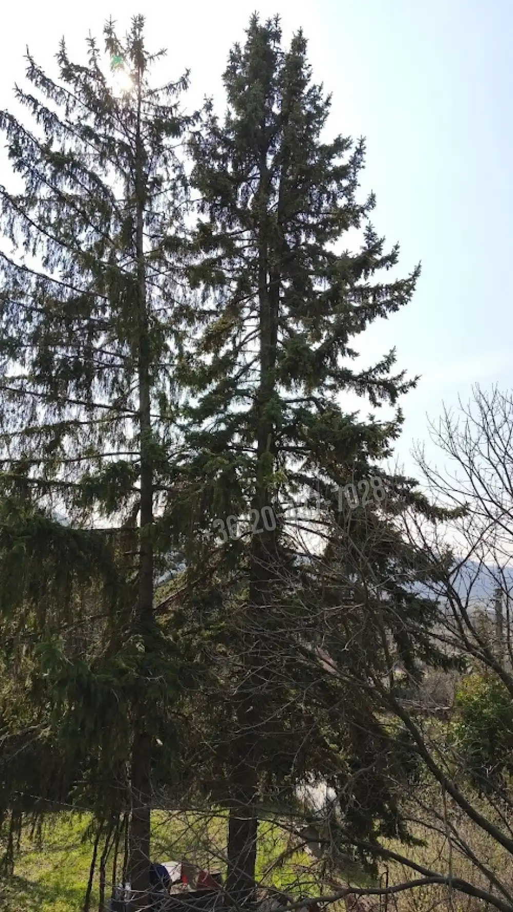 Pest megye - Budakeszi