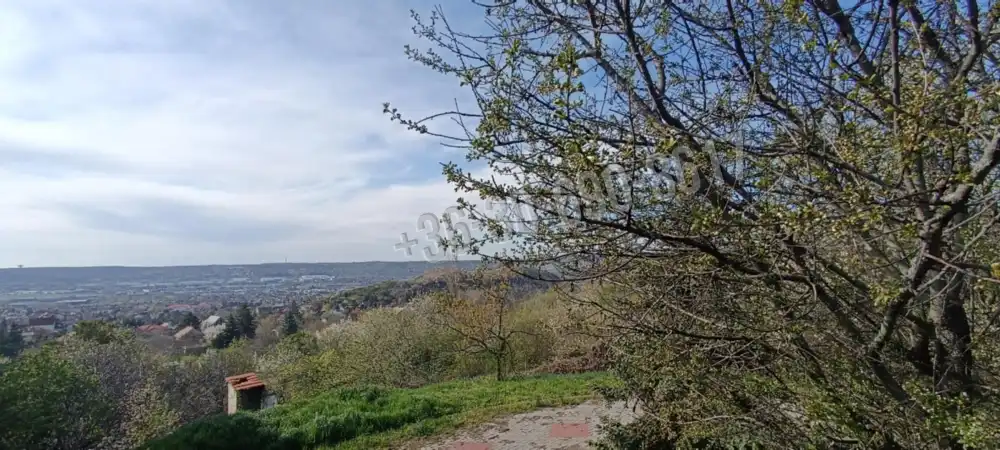 Pest megye - Budaörs