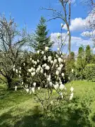 Budapest, XII. kerület - Budakeszierdő