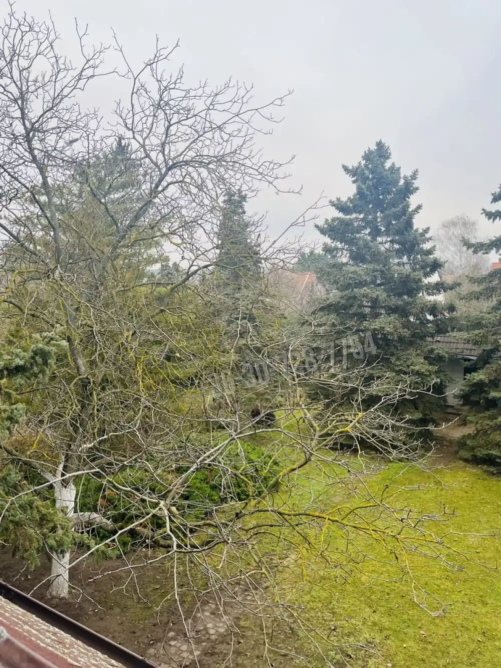 Budapest, XVI. kerület - Mátyásföld - Petőfikert