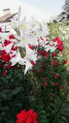 Budapest, XXI. kerület - Gyártelep