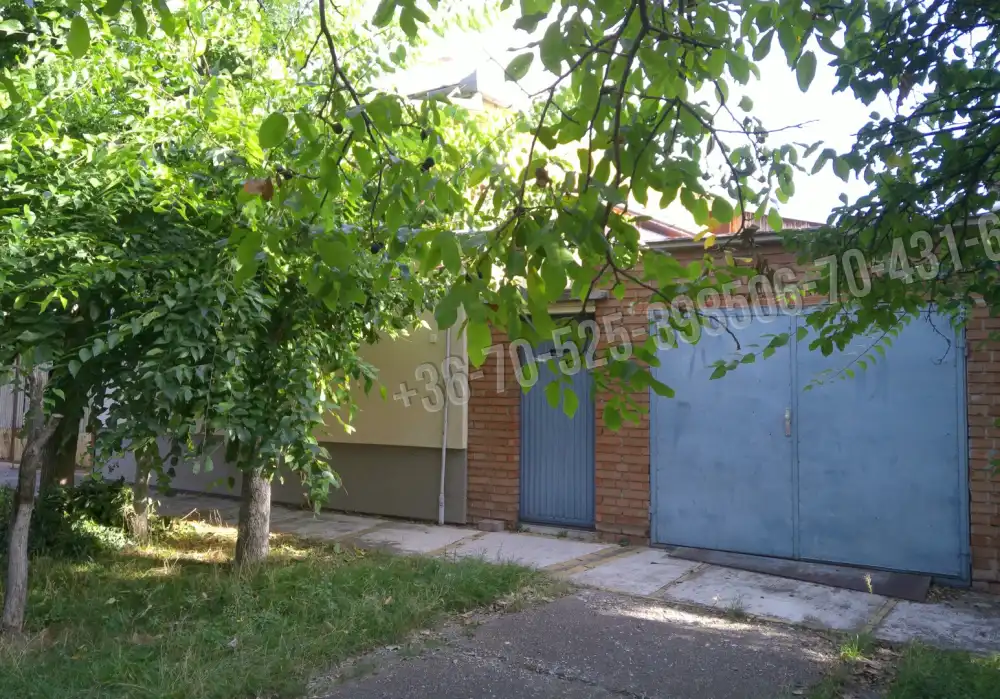 Pest megye - Cegléd