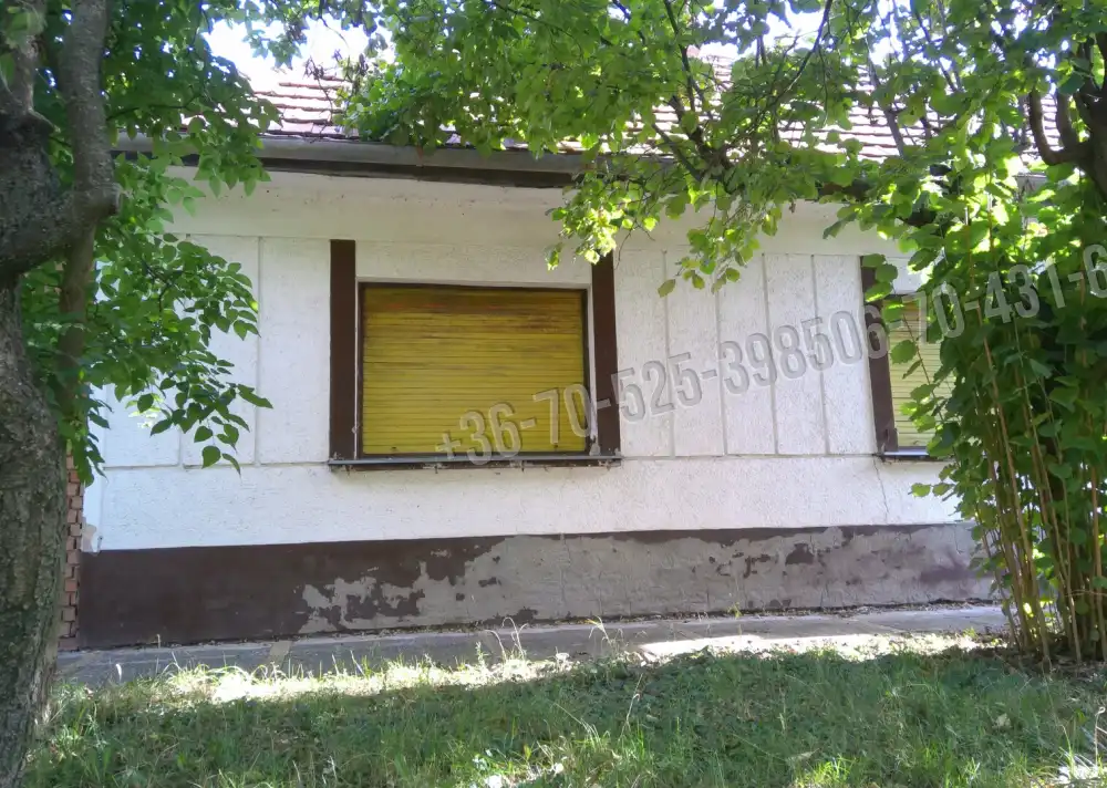 Pest megye - Cegléd