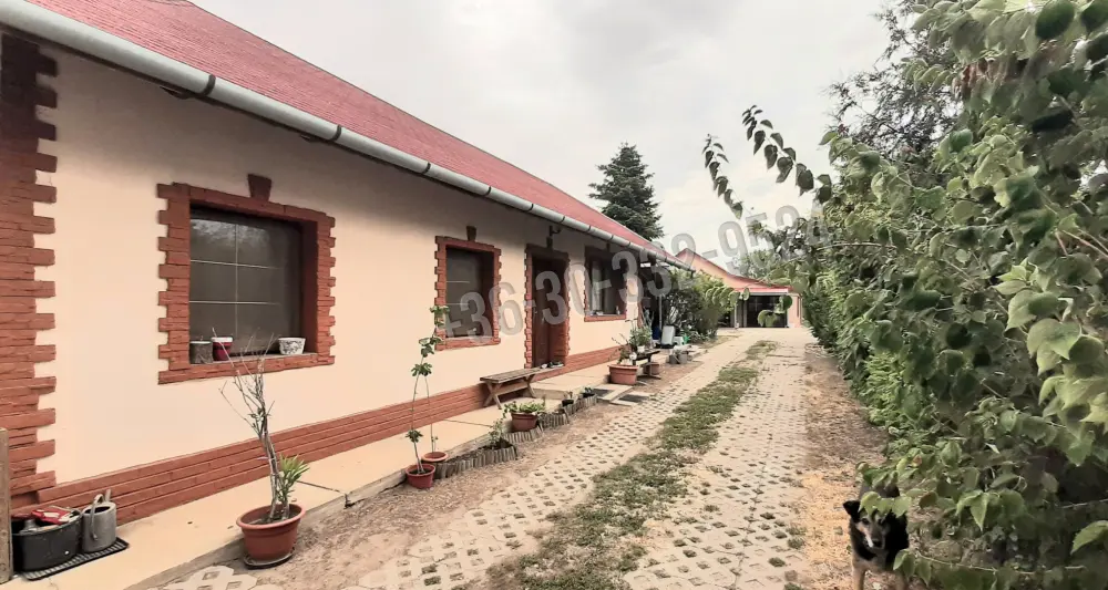 Pest megye - Csomád