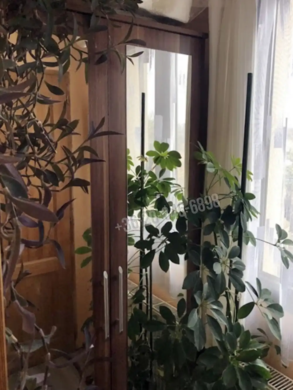 Veszprém megye - Csopak