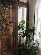 Veszprém megye - Csopak