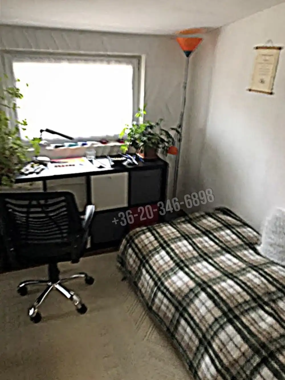 Veszprém megye - Csopak